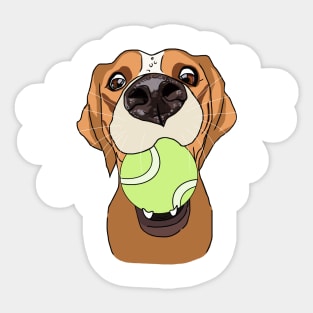 Funny dog with a ball in its mouth Sticker